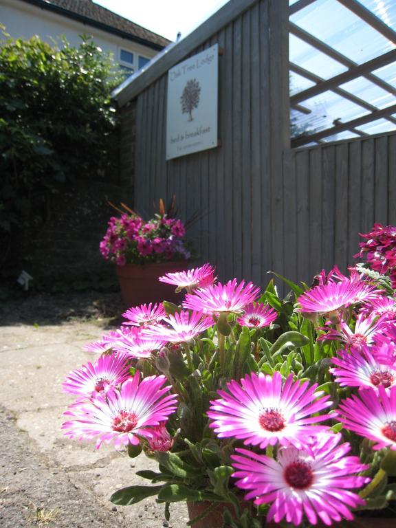 Oak Tree Lodge & Holiday Parking Burstow Esterno foto